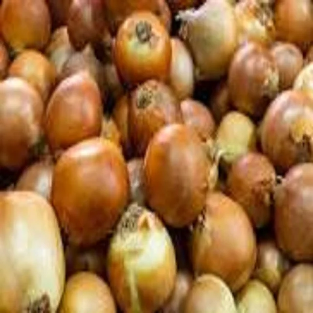 onion import export high quality low price vegetable wholesale price onion wholesale Dehydrated Dry Yellow Onion Flakes