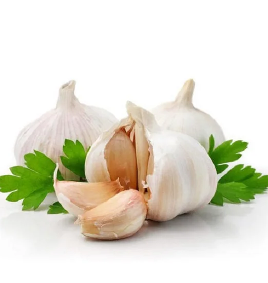 Premium Quality Fresh Garlic Pure White Best Market Price for Food Use