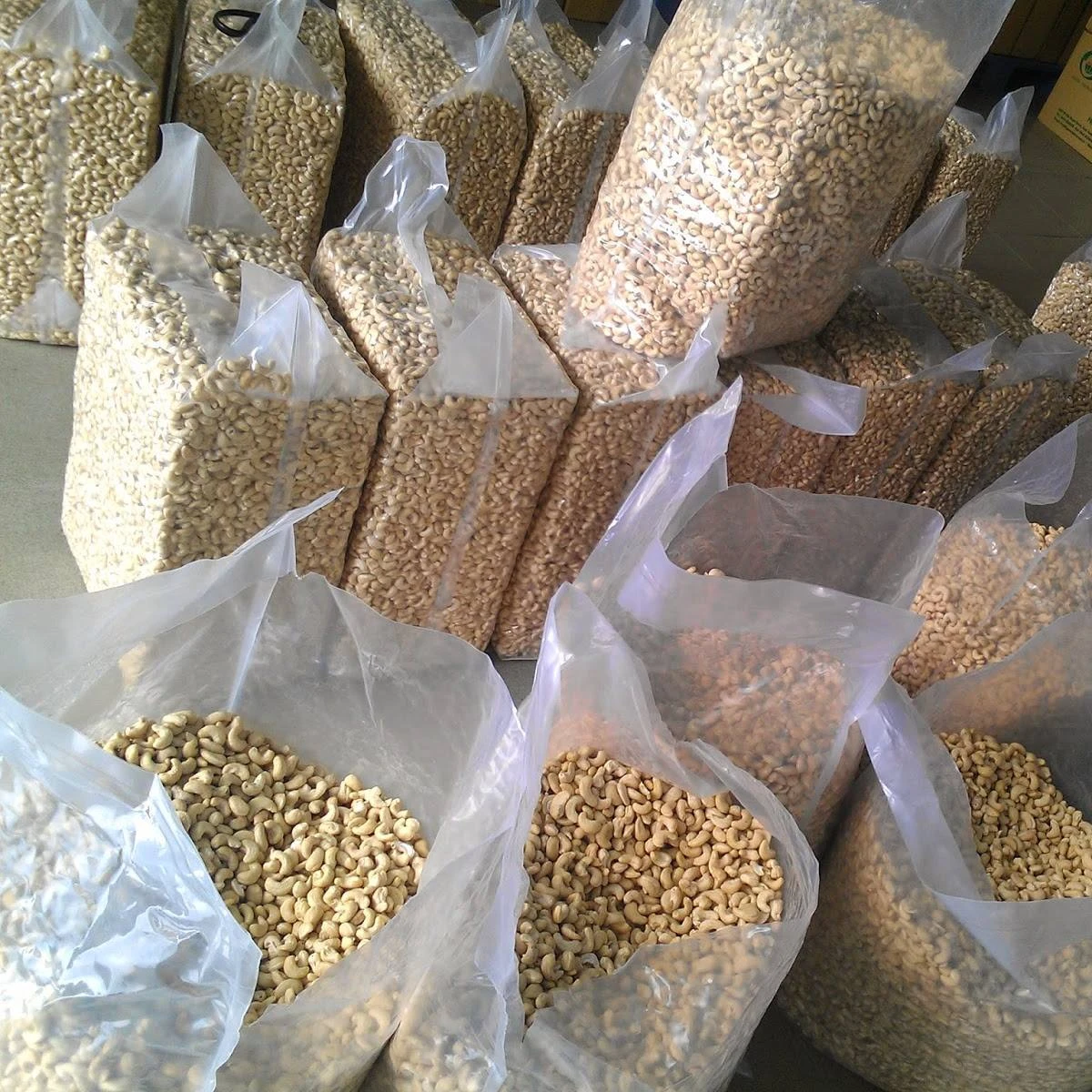 Processed Cashew Nut Sell Vietnam Crop Good Packaging Prompt Raw Origin Vacuum Type Quality High Dried Grade Price