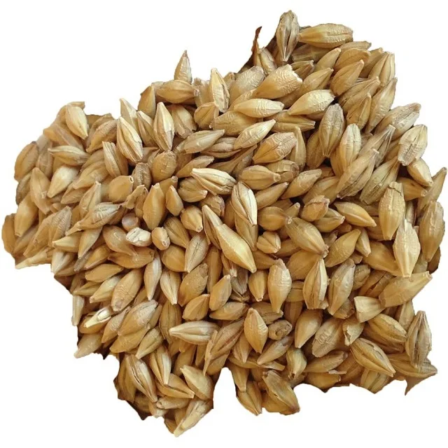 Wholesale Natural Organic top quality Animal Feed Barley 50 Kg Bag for sale