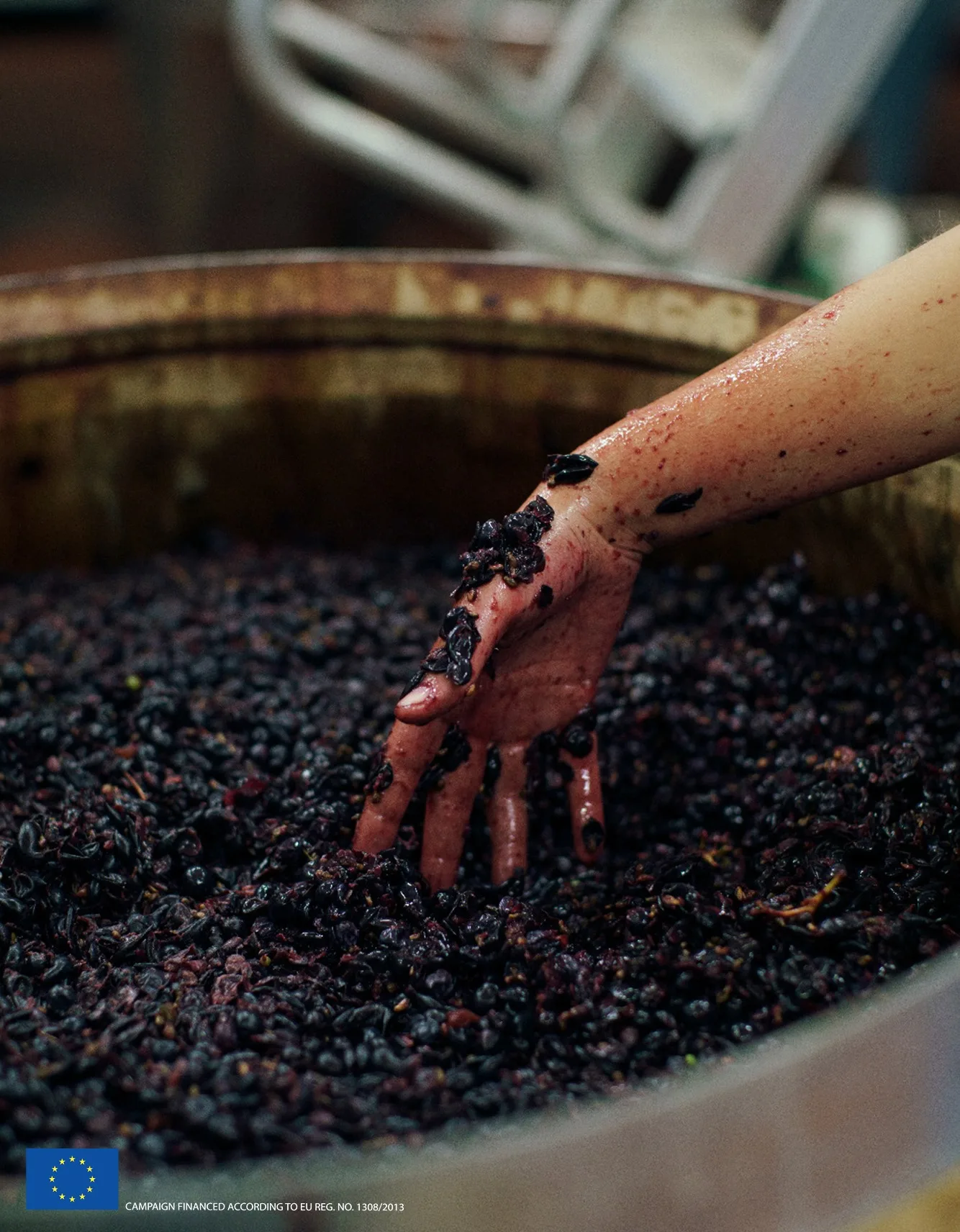 Высококачественное итальянское органическое красное вино Montalcino 75