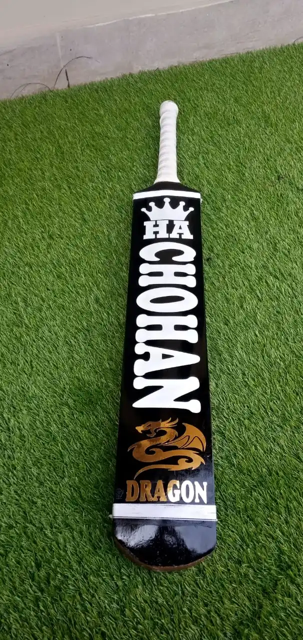 Best Kashmir Willow Cricket Bat