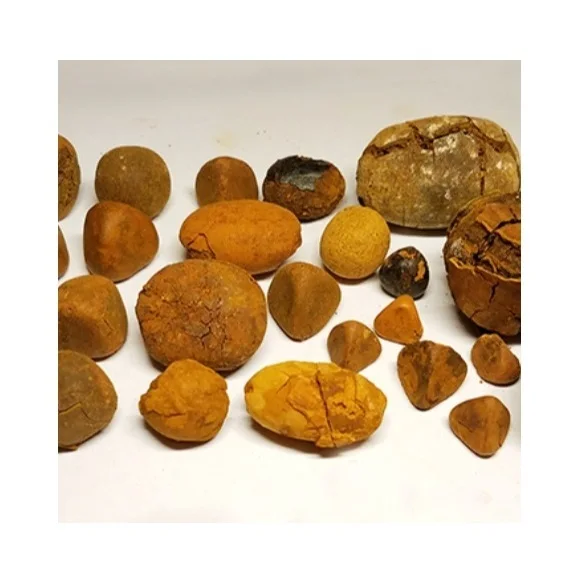 Sell Gallstones Ox Gallbladder Stones Ox Bezoar For Medicine OX Gallstone Supply High Quality Natural Gallstones