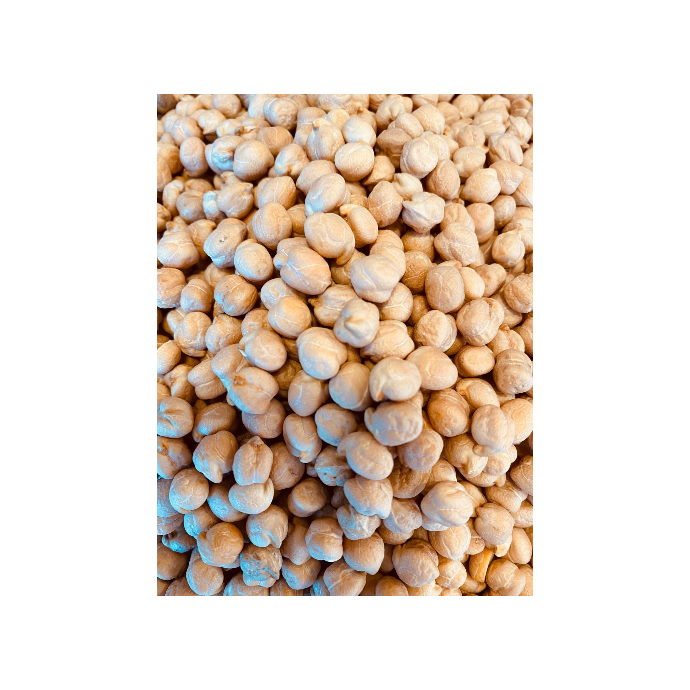 100% Pure Food Grade Kabuli Brazil / White Chickpeas Wholesale Price Dried Chickpeas