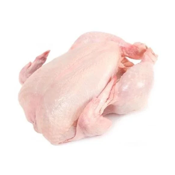 High Quality Frozen Grade A Halal Whole Chicken And Chicken Parts Top Selling Premium Halal Frozen Whole Chicken