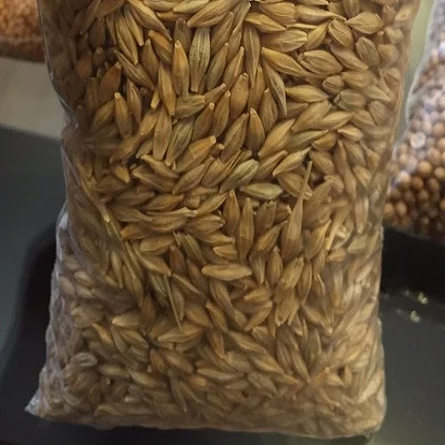 Factory Supply Bulk Wholesale Price Top Quality Barley Grains For Malt | Barley For Animal Feed Available For Sale