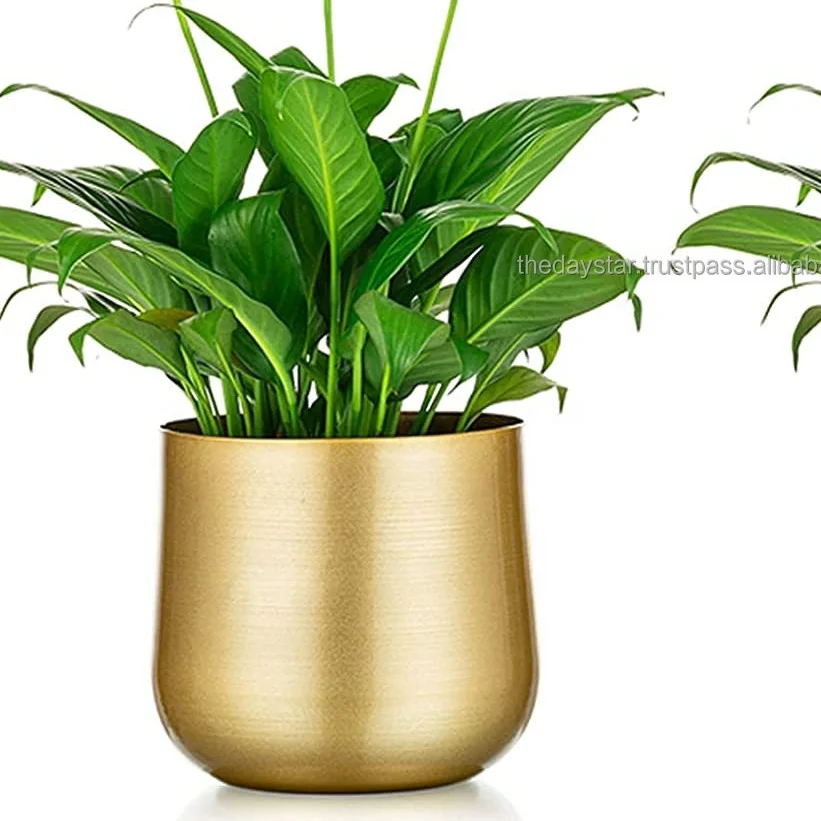 Set Of 2 Nice And Simple Style Metal Flower Vases For Home Decoration Table Accents Hotel Decorative