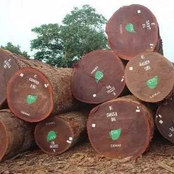 Коммерческий размер древесины, высокое качество по низкой цене