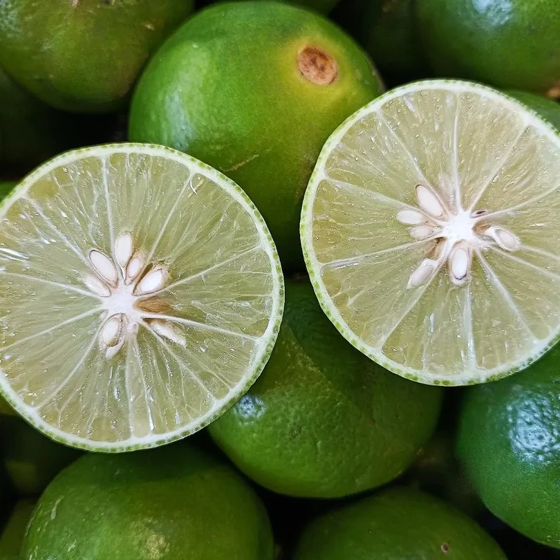 Seedless Lime Fresh Citrus Fruit High Quality Brand Manufacturer Wholesaler Hot Selling From South Aafrica Cheap Price Low MOQ
