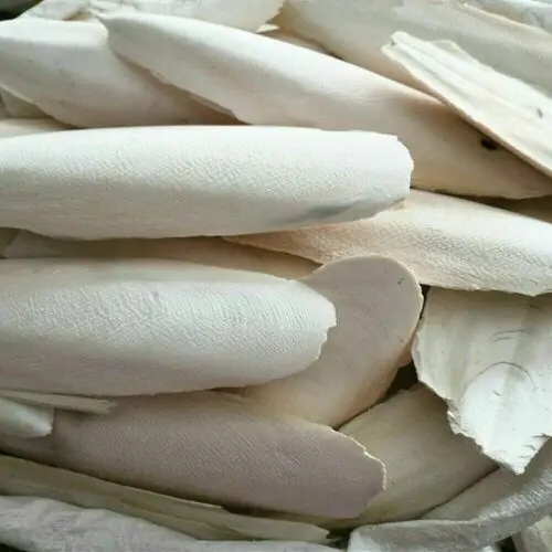 Manufacturer Cuttlebone  And Dried Cuttlefish Bone For Making Chitosan In Vietnam