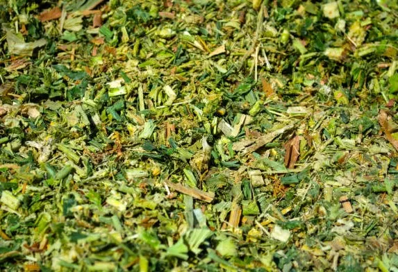 Wholesale High Quality Corn(Maize) Silage animal feed rich of Proteins and Calcium For Cows Horses and Buffalo Meal Silage