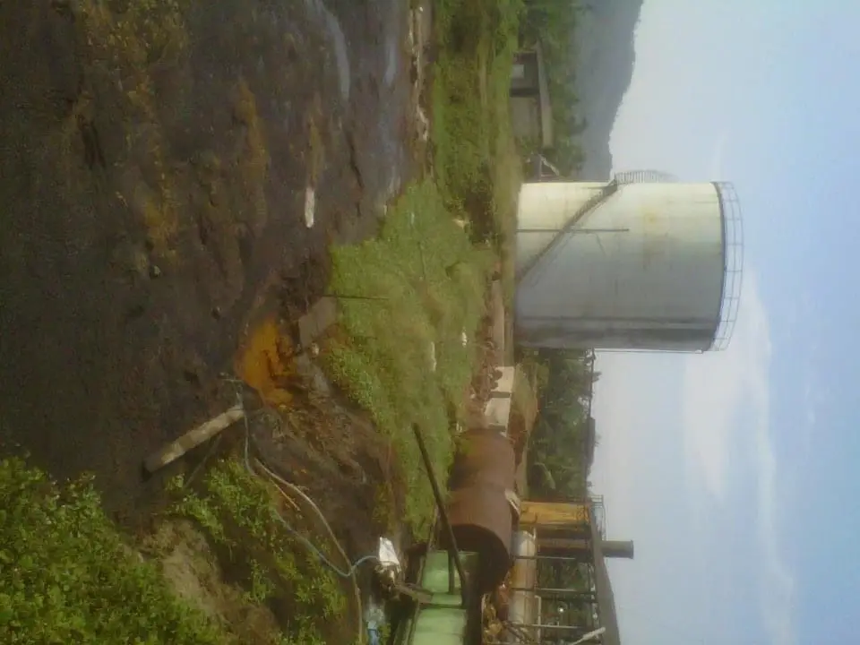 Wholesale Palm Acid Oil (PAO)