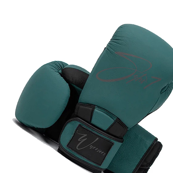 High Quality Boxing Gloves,6/8/10/12/14 OZ Training Kickboxing Sparring Muay Thai and Heavy Bag for Boxing Exercise