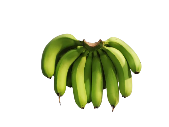Good Price Low MOQ Hot Selling OEM ODM Accept Customize Logo Top Grade A456 Cavendish Banana 100% Organic High Nutrition