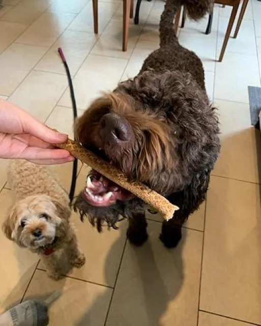 Top Pet Product of 2024: Crunchy Basa Fish Skin Treats: Nutritious Snacks for Dogs and Cats