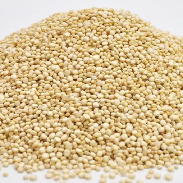 high quality quinoa with small white grain about the size of millet for sale white quinoa red black quinoa