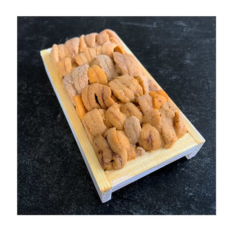 frozen sea urchin / fresh sea urchin / dried sea urchin for sale