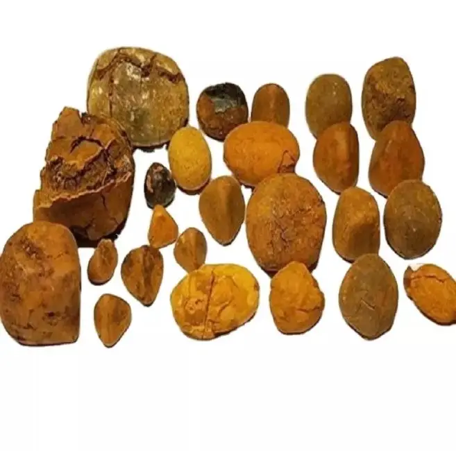 Покупайте высококачественные 100% натуральные желчные камни Ox для крупного рогатого скота коровы оптовая цена