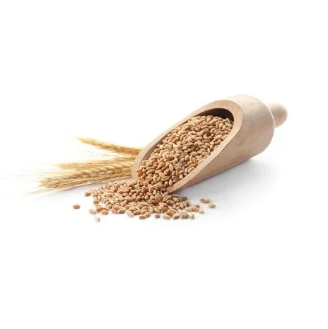 custom wheat flour packing bags 50kg 25kg 10kg 5KG