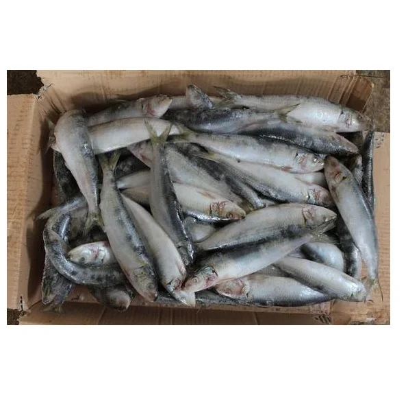 Лучшие морепродукты со Свежей Замороженной сардиной рыбы цена замороженная Сардина для продажи