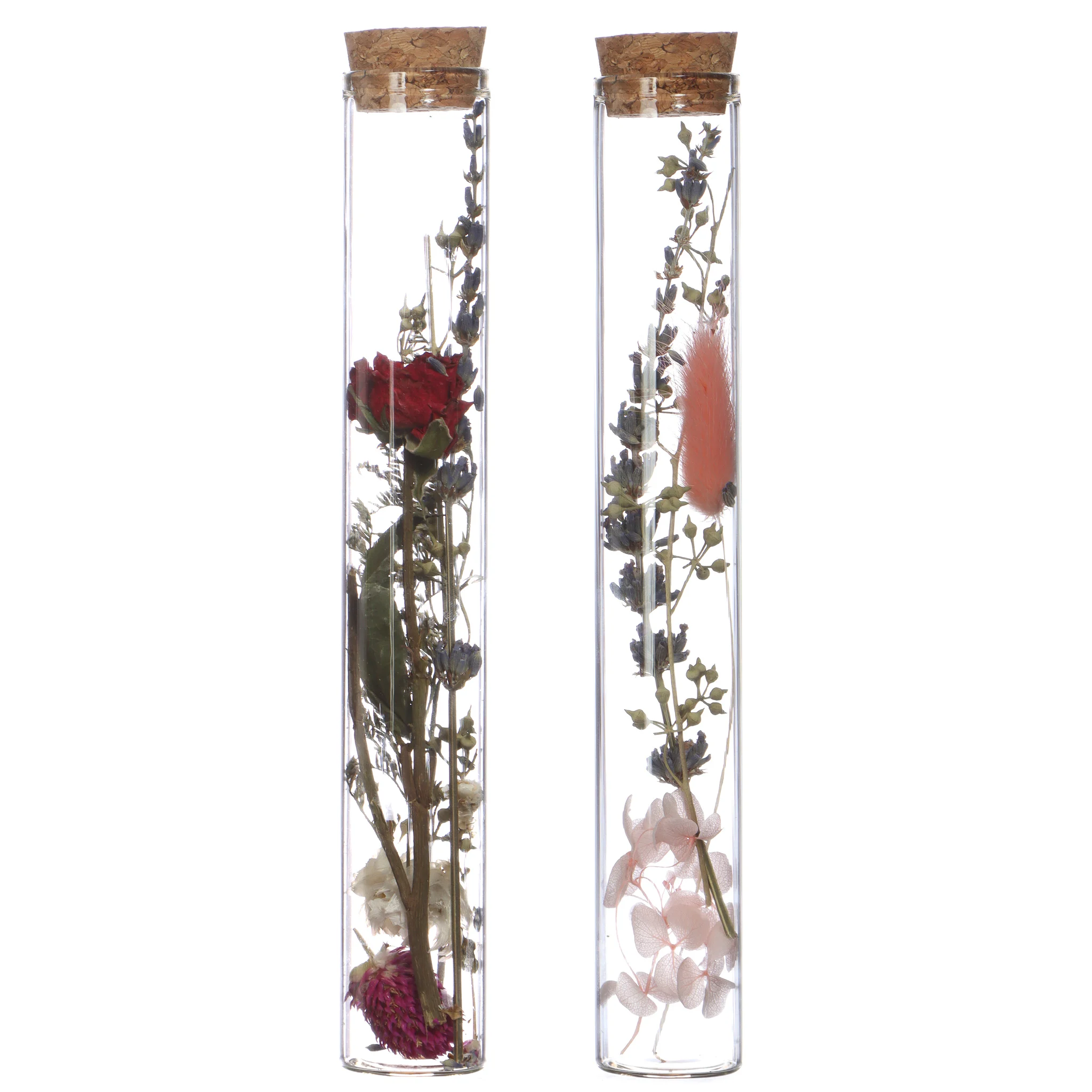 Beautiful Glass Test Tube with Dried flowers and Cork Lid - 2 assorti h.20 3 cm for Home Decoration Wholesale