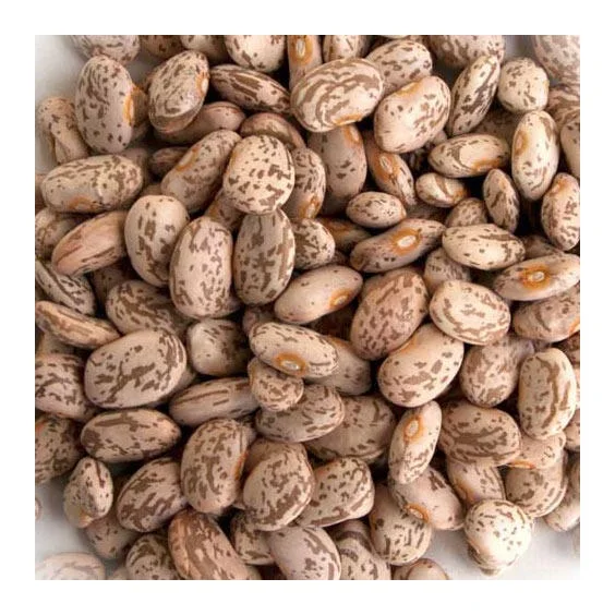 Оптовая цена, легкая зернистая фасоль, производство фабрики, сухая пинтовая фасоль