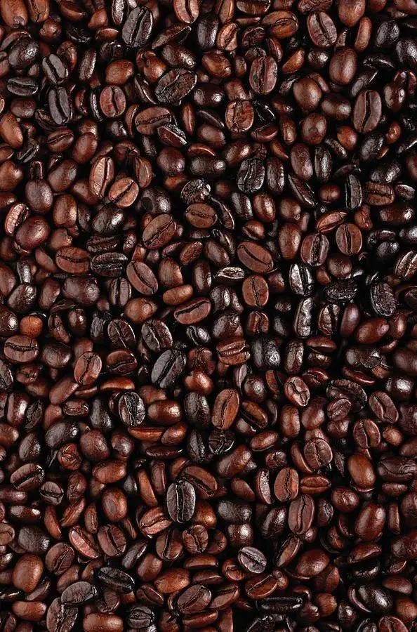 Ethiopia Canyon Guji G1 Light Roast Coffee Beans Chocolate Spices Lime Caramel Original High Quality Beans Freshly Extracted