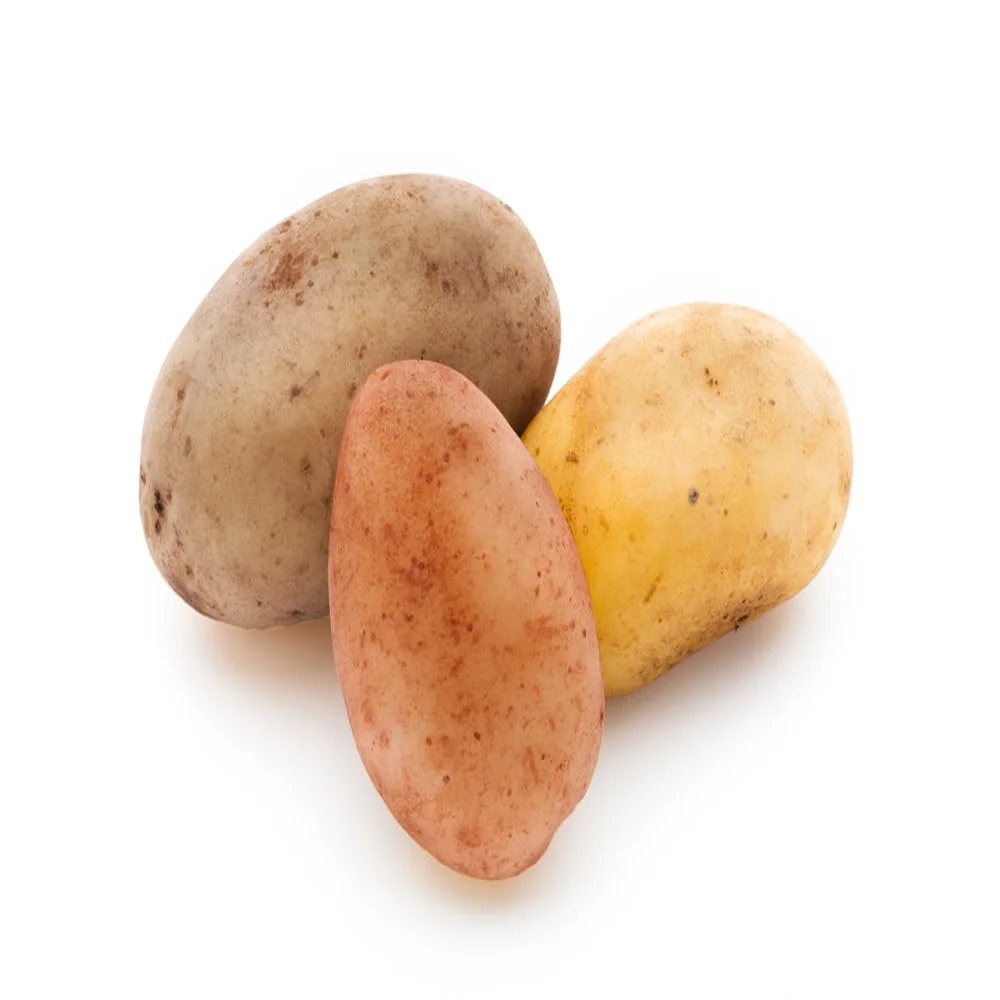 fresh potato seed price in China/potato wholesale price/sweet