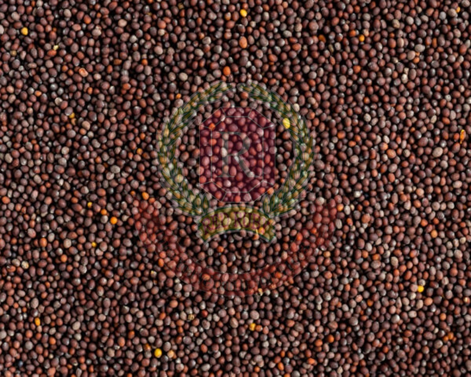 Black Mustard Seeds