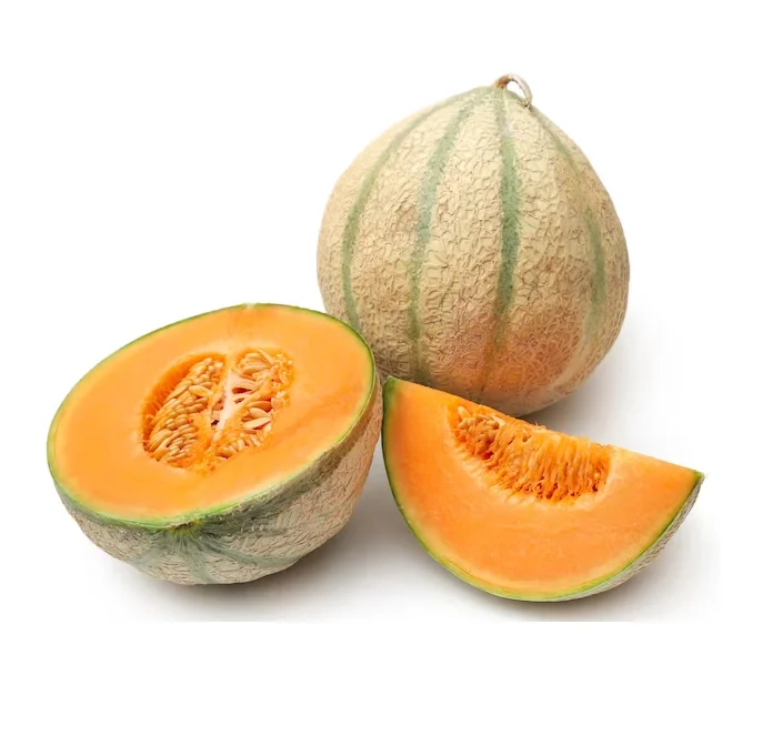 Best Quality Spanspek Single Fresh Melons Fruit Fresh Stock Bulk Wholesale Exports