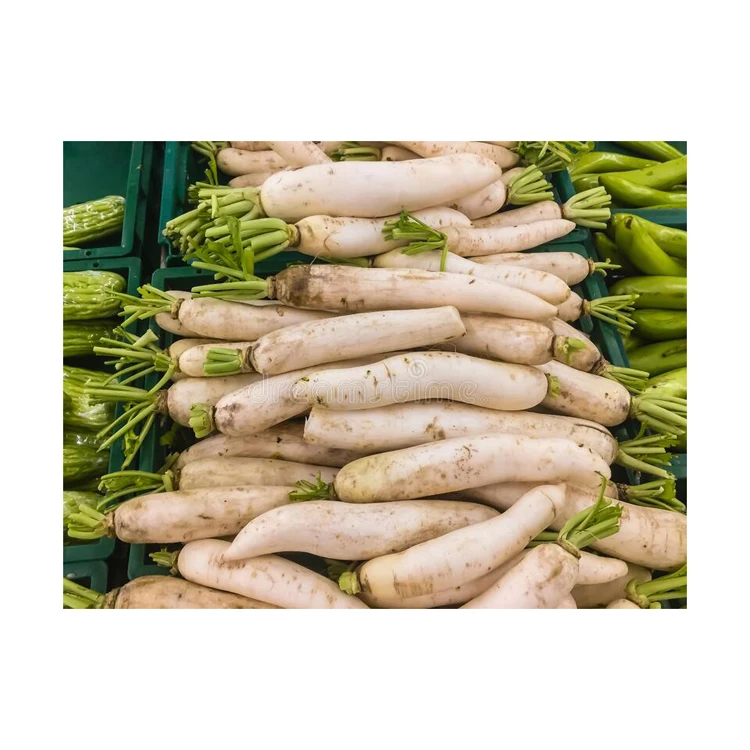 Bulk Stock Available Of Fresh Vegetables Radish At Wholesale Prices