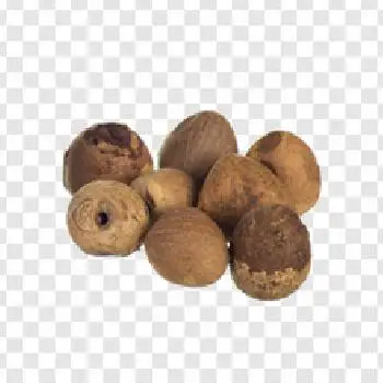 Сушеный цельный и разрезанный орех бетеля из Великобритании, сушеный нарезанный орех бетеля высокого качества