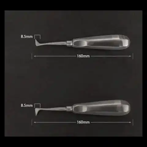 tooth  extraction  dentistry  tool  10  pcs   dental  elevator  tooth  extracting  forceps