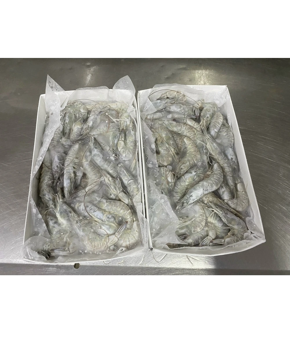 Wholesale Vannamei Shrimp HOSO High quality IQF frozen fresh top quality whole shrimp undivided with a head