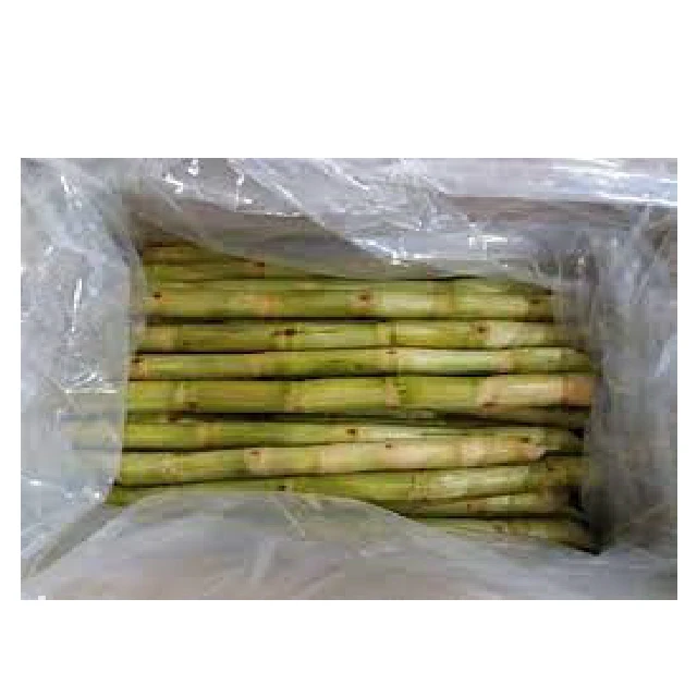 Vietnamese Organic Sugarcane Frozen Juice Best-Selling Whole Pattern Preserved with Oil Packaged in Bulk