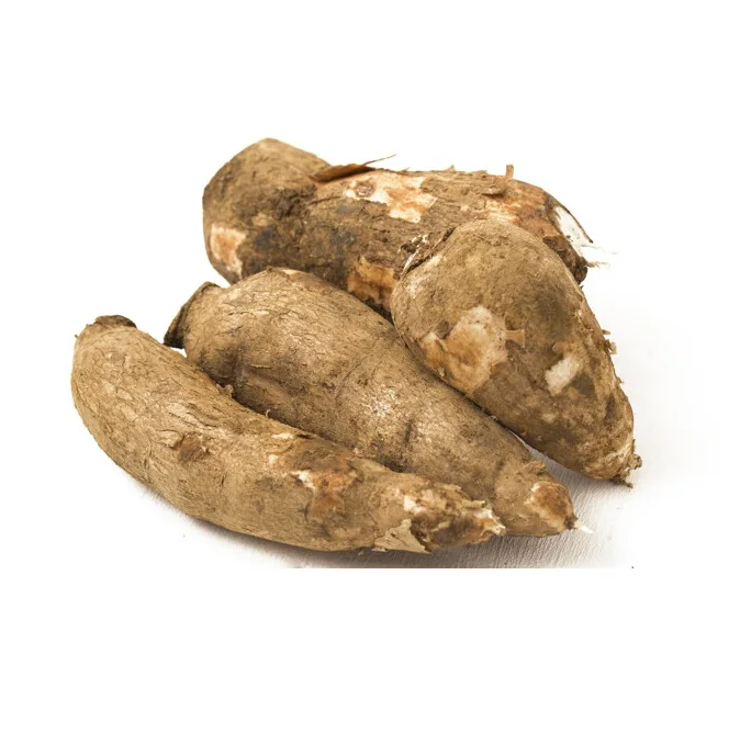 High Quality Fresh Yuca Root (Cassava) / Fresh Vegetables Cassava At Cheap Price Manufacturer From Germany worldwide Exports