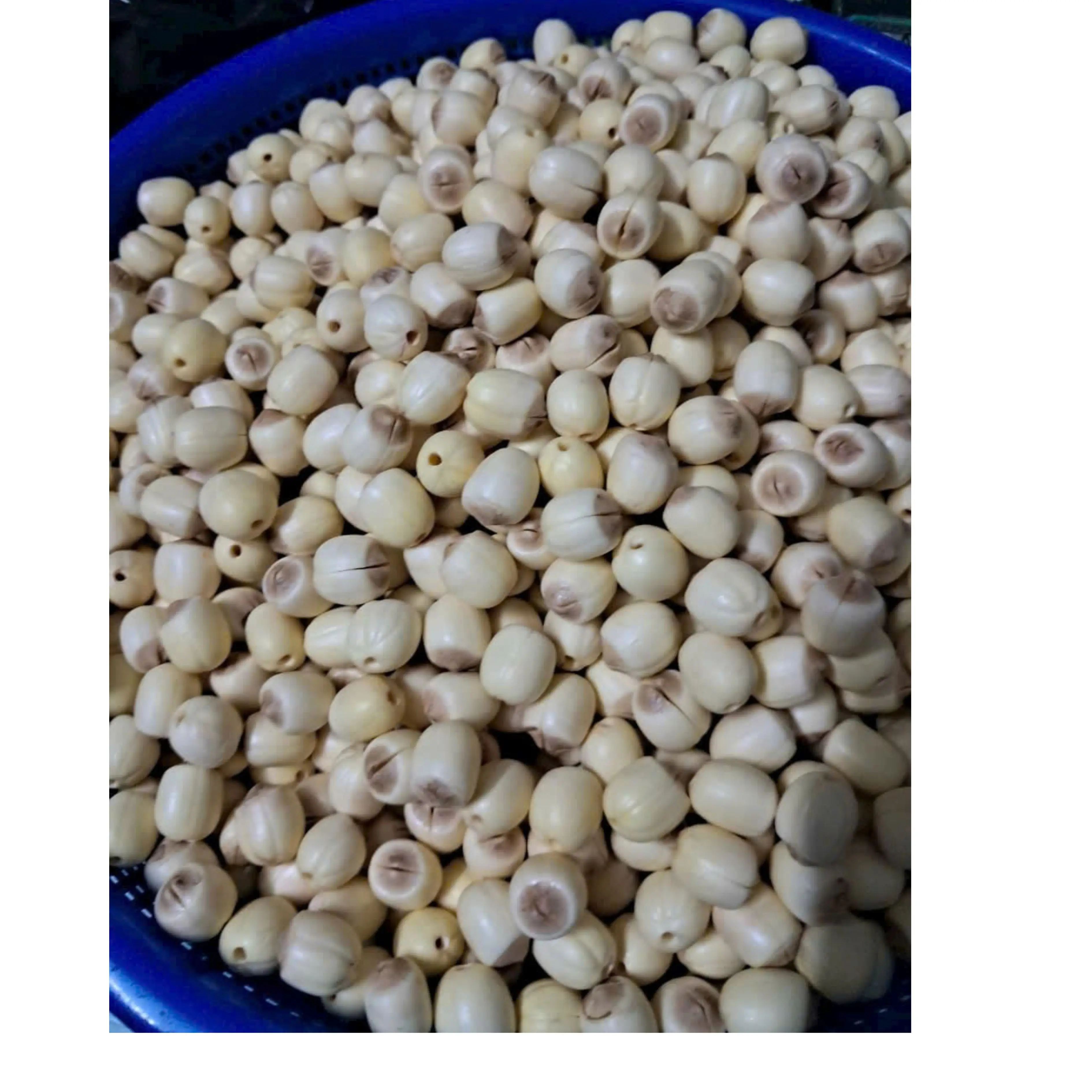 100% Natural Dried Lotus Seed Healthy Product High Quality Lotus Seeds from Vietnam