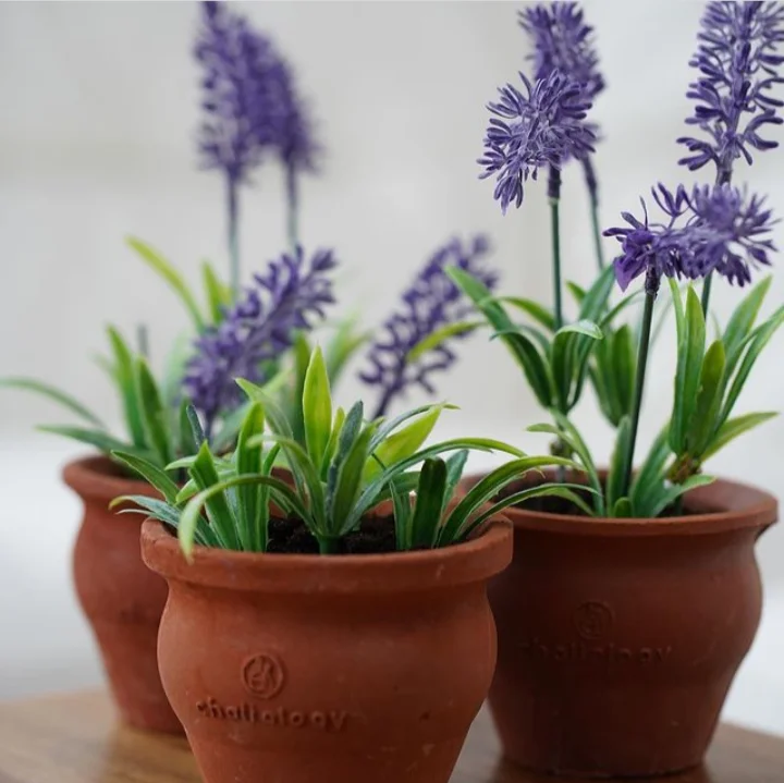 Take Home Tea Cups to Table Top Plant Pots an Innovative Product Hot Sale 2023