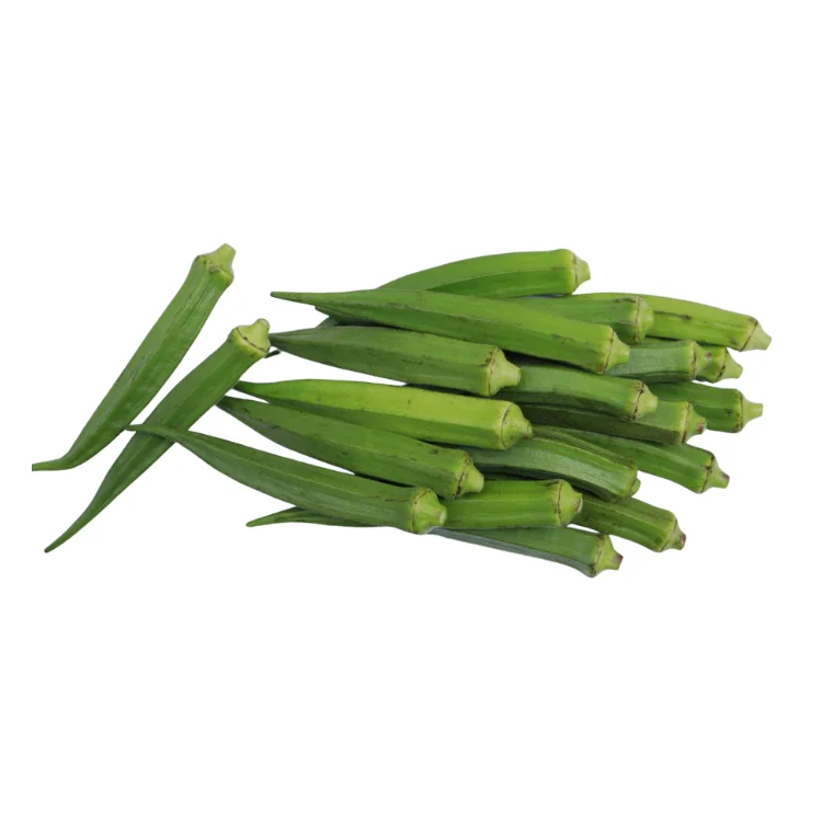 fresh okra OEM new crop using for many purposes TCVN packing in carton Made in Vietnam Manufacturer