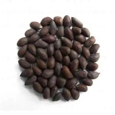 High Quality Raw Cotton Seeds For sale At Low Price