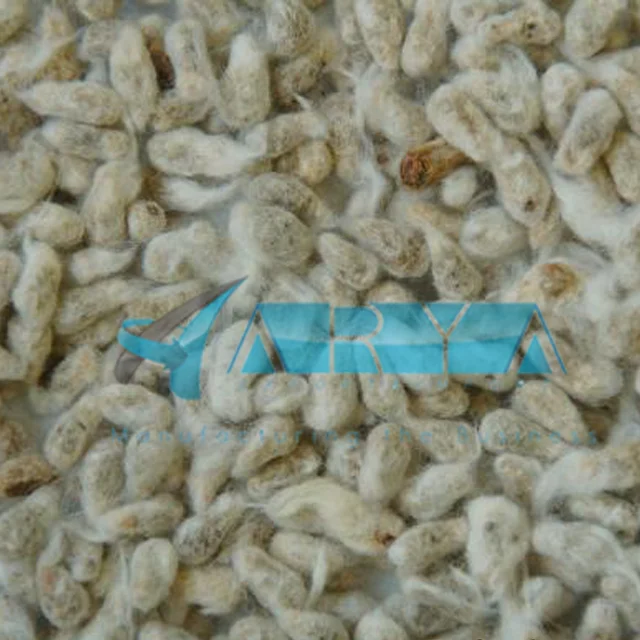 Premium Grade Cotton Seeds  cotton seeds wholesale & retails dried cotton seeds