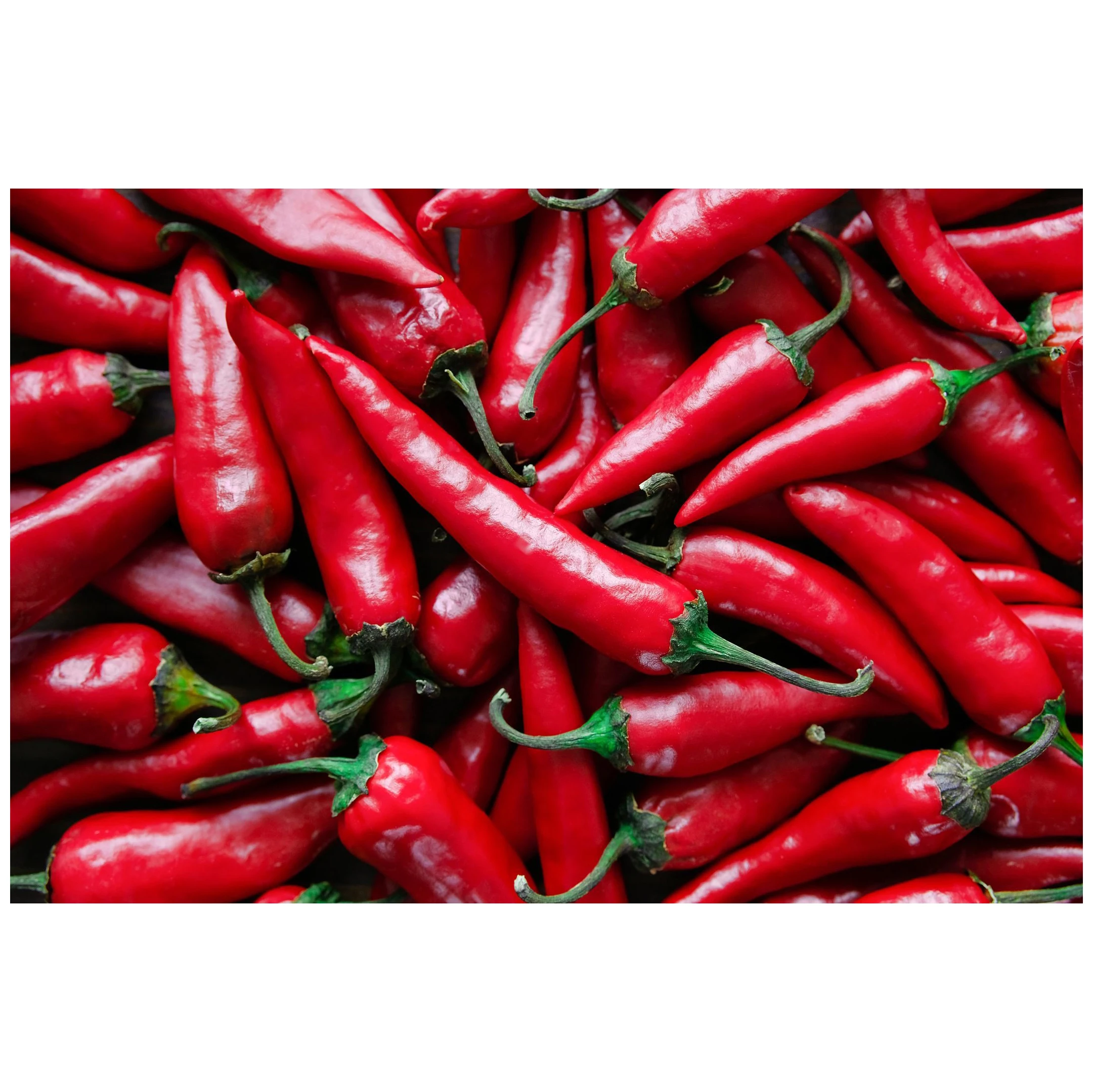 Cheap Price High Quality Natural Dry Red Hot Chili Wholesale Chili Pepper Seeds For Sale In bulk