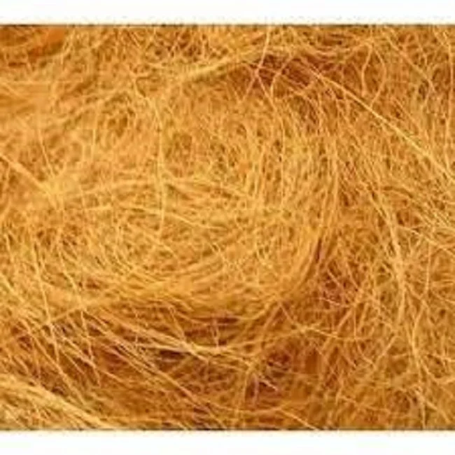 Wholesale Natural Palm Fiber / Sisal Fiber / Coconut Fiber