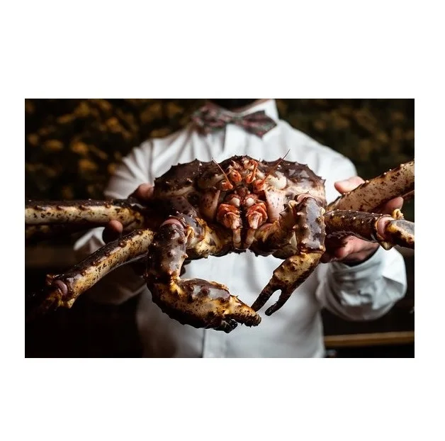 Wholesale Whole Alaskan Grade Red Legs Frozen Soft Shell Crabs Live Mud Crabs Red King Crabs Sale in Bulk