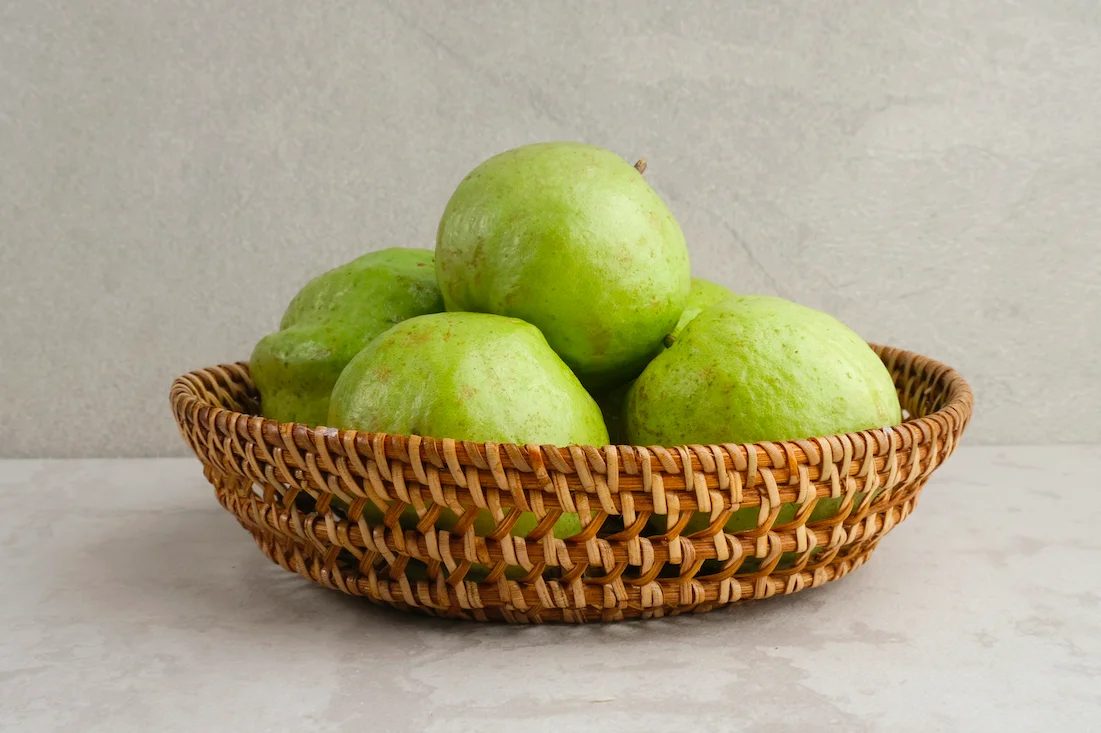 Fresh High Quality Guava Wholesale from Malaysia