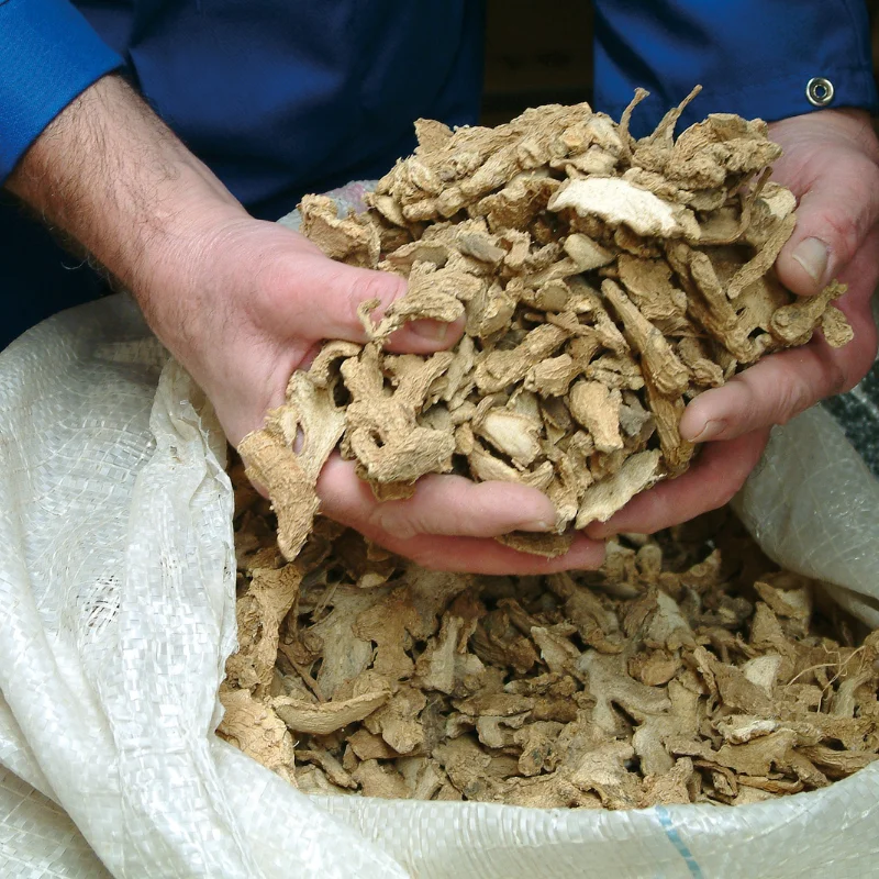 Wholesale Dried Ginger High Quality Dried Ginger Slice For Seasioning And Spices Bulk Packing Ready To Ship