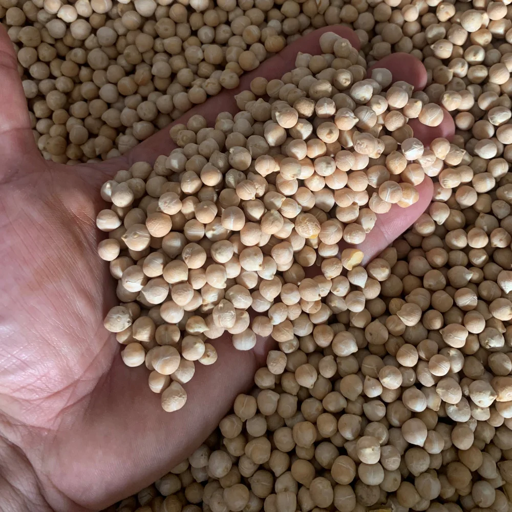 High quality Chickpeas for food industry and cooking wholesale prices beans and seeds for sale chick peas