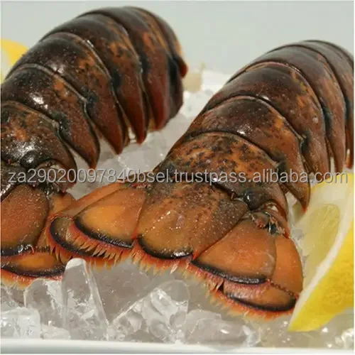 frozen lobster (1).jpg