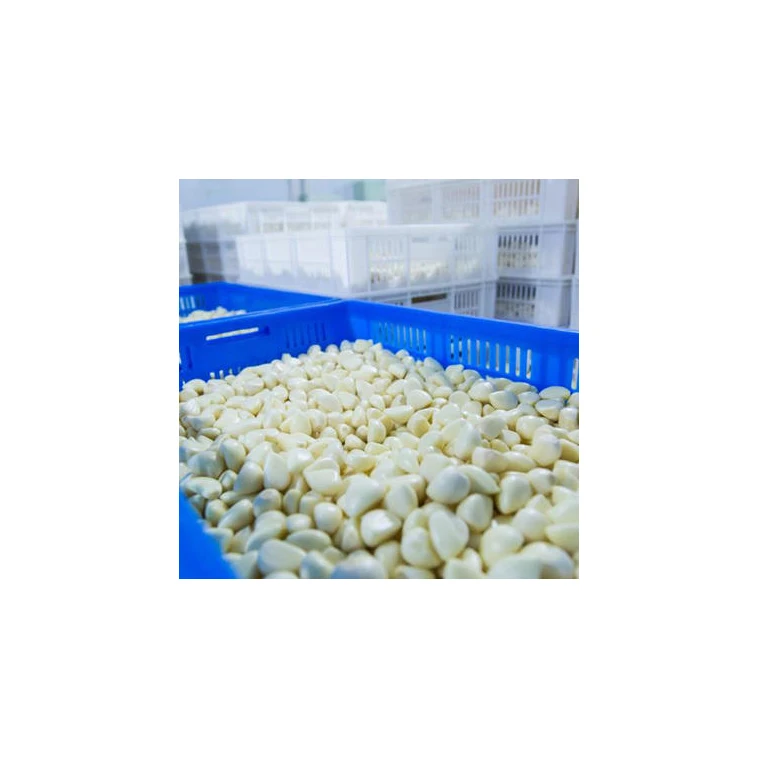 Bulk IQF Frozen Fresh Peeled Garlic Cloves