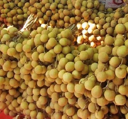 Organic Fresh Longan Fruit/Dried Longan Fruit